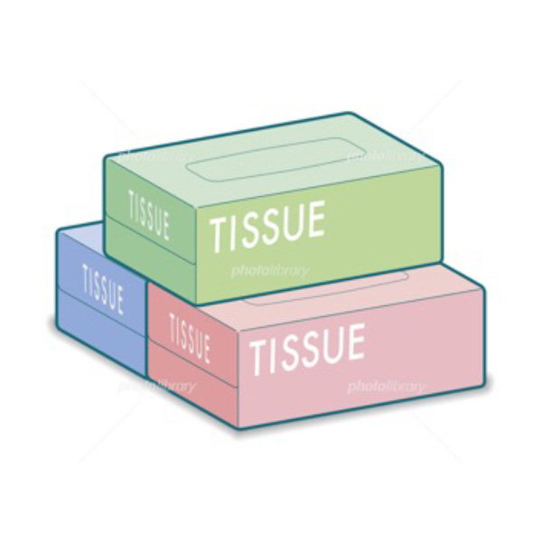 BOXティッシュ5箱